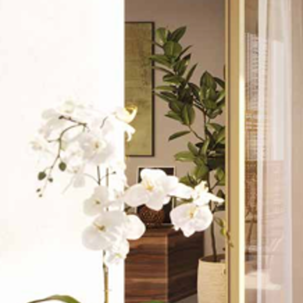   Sainte-Adresse (76310)