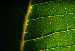  Appartement � vendre 3 pi�ces 62 m�