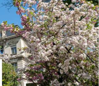  Appartement � vendre 4 pi�ces 86 m�