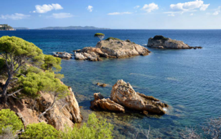  Appartement � vendre 3 pi�ces 58 m�