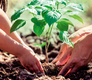  Maison � vendre 4 pi�ces 94 m�