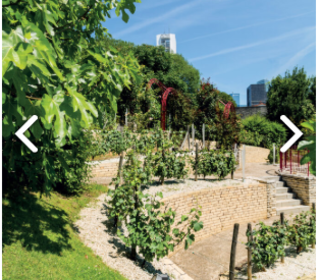  Appartement � vendre 1 pi�ce 27 m�