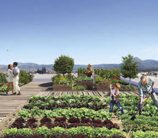  Appartement � vendre 1 pi�ce 23 m�