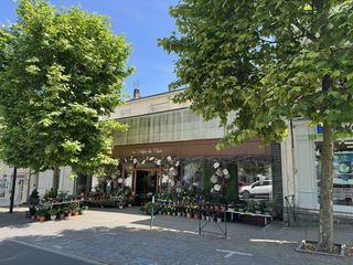  Immeuble � vendre 10 pi�ces 517 m�