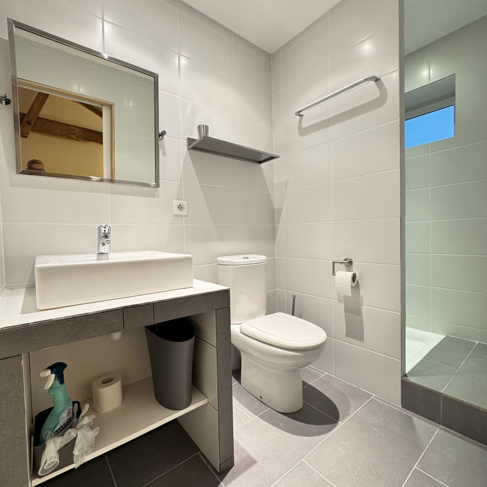 � vendre  Propri�t�/ch�teau Villebois-Lavalette (16320)