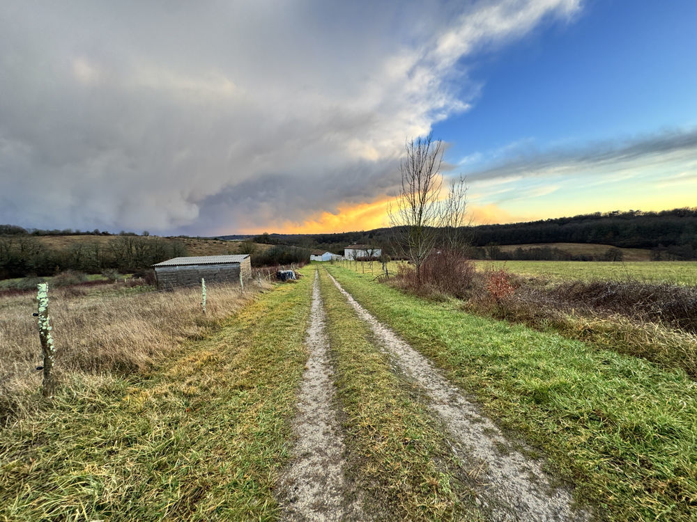 � vendre  Propri�t�/ch�teau Villebois-Lavalette (16320)