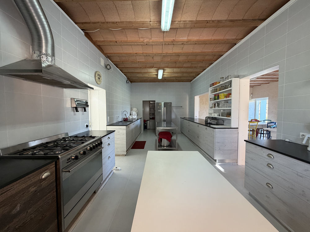 � vendre  Propri�t�/ch�teau Villebois-Lavalette (16320)