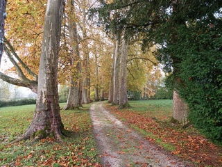  Propri�t�/ch�teau � vendre 15 + pi�ces 608 m�