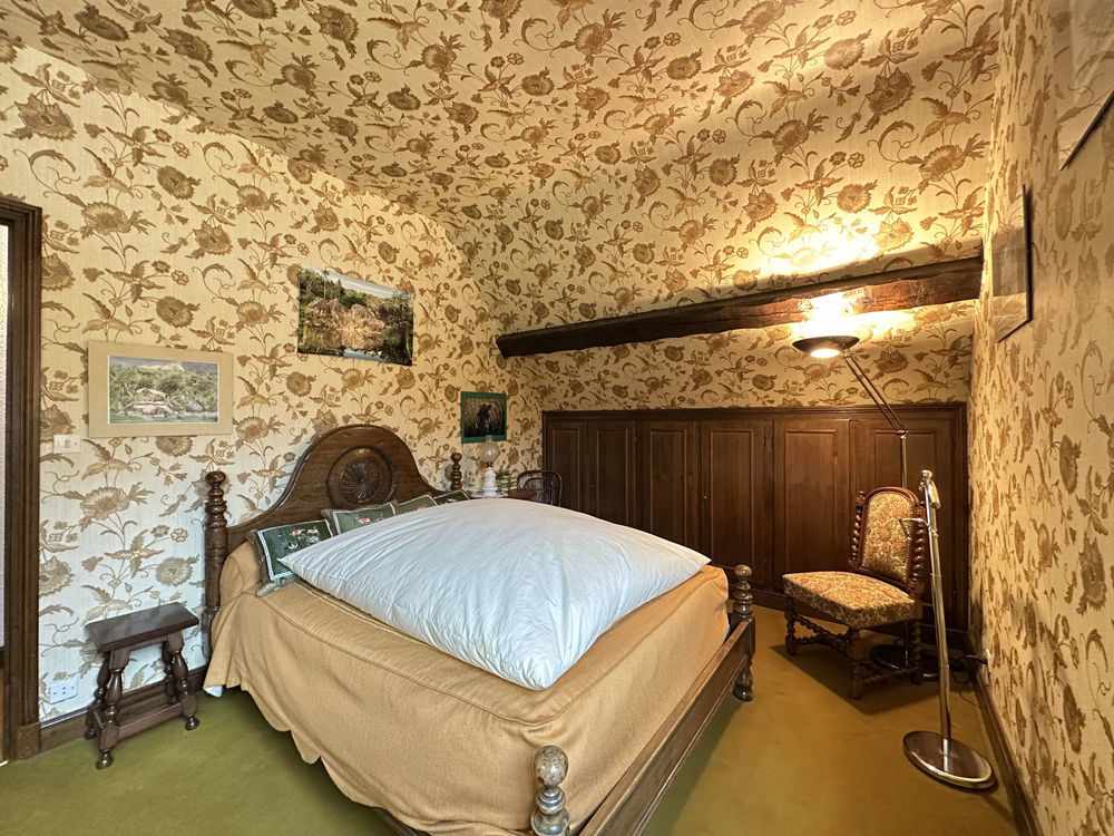 � vendre  Propri�t�/ch�teau Saint-M�dard (36700)