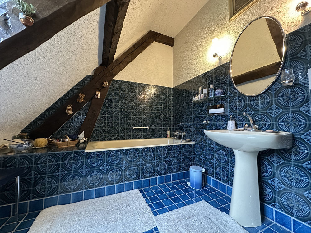 � vendre  Propri�t�/ch�teau Saint-M�dard (36700)