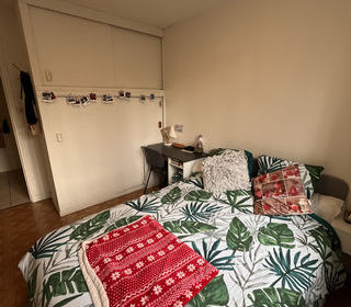  Appartement � louer 3 pi�ces 50 m�