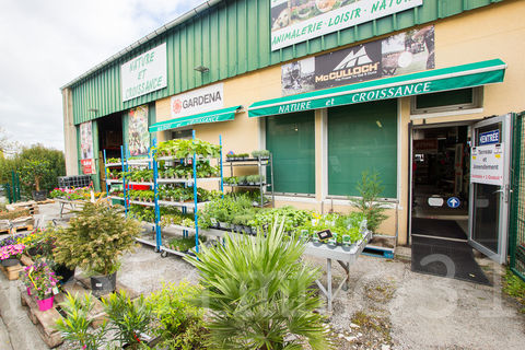 local commercial et stockage, appartement et garages 550000 31460 Caraman