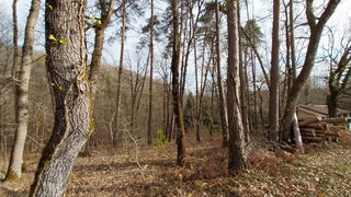  Terrain � vendre 3493 m�