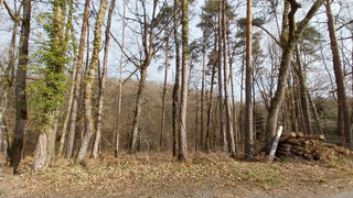  Terrain � vendre 3493 m�