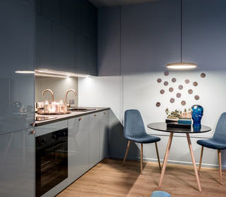  Appartement � vendre 2 pi�ces 46 m�