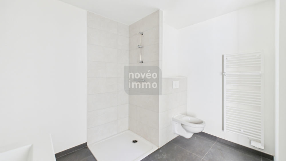 � vendre  Duplex/triplex Strasbourg (67000)