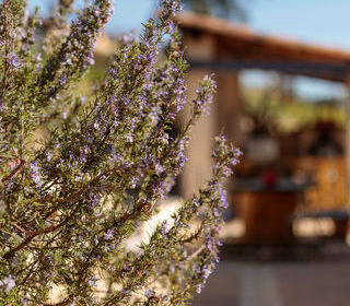  Maison � vendre 5 pi�ces 132 m�