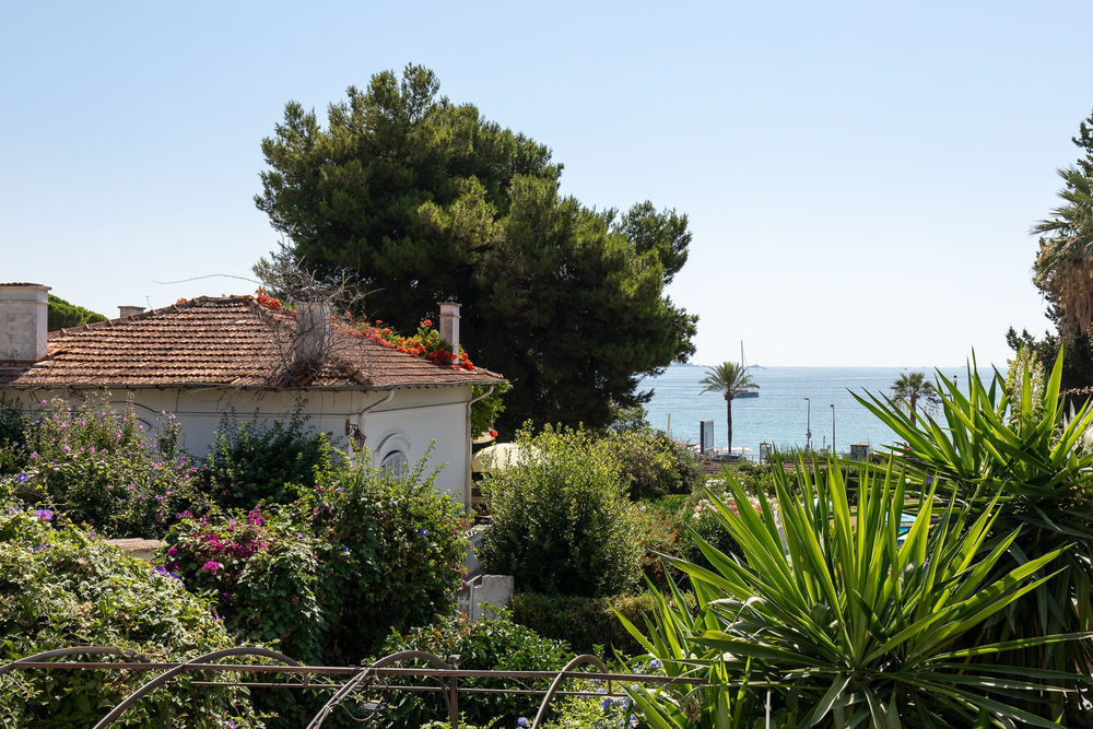 � vendre  Maison Vallauris (06220)