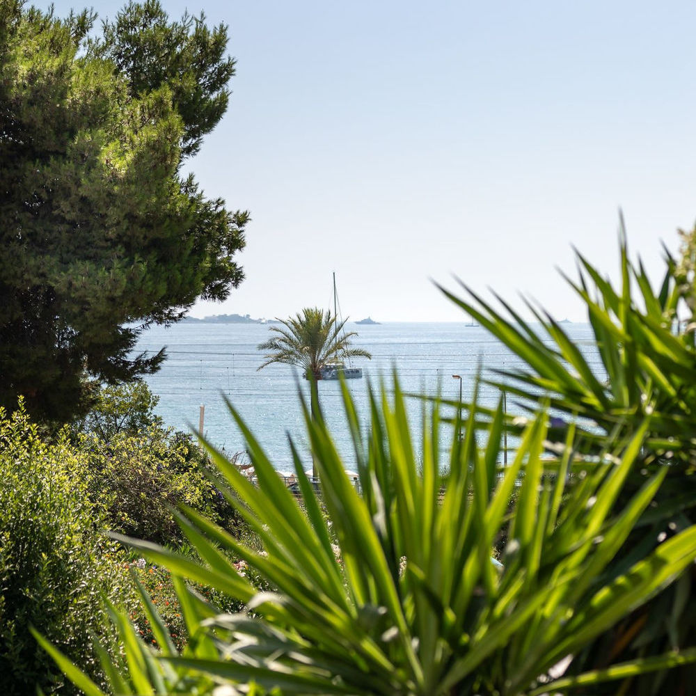 � vendre  Maison Vallauris (06220)