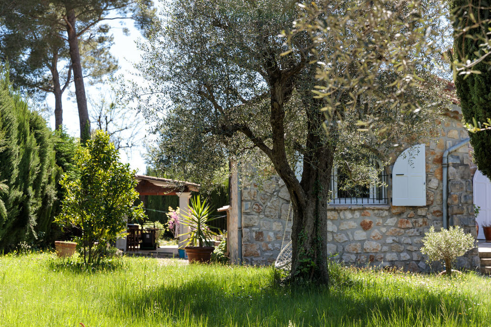 � vendre  Maison Opio (06650)