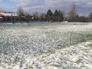  Terrain � vendre 1177 m�