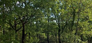  Terrain � vendre 3150 m�