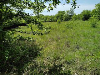  Terrain � vendre 5355 m�