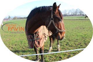  Maison � vendre 6 pi�ces 130 m�