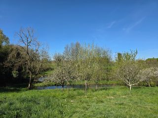  Maison � vendre 13 pi�ces 344 m�