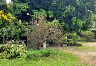  Maison � vendre 3 pi�ces 130 m�