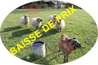  Maison � vendre 4 pi�ces 115 m�