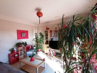  Appartement � louer 2 pi�ces 45 m�