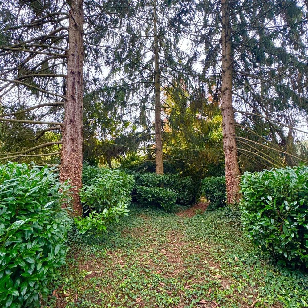 � vendre  Maison Bourg-en-Bresse (01000)