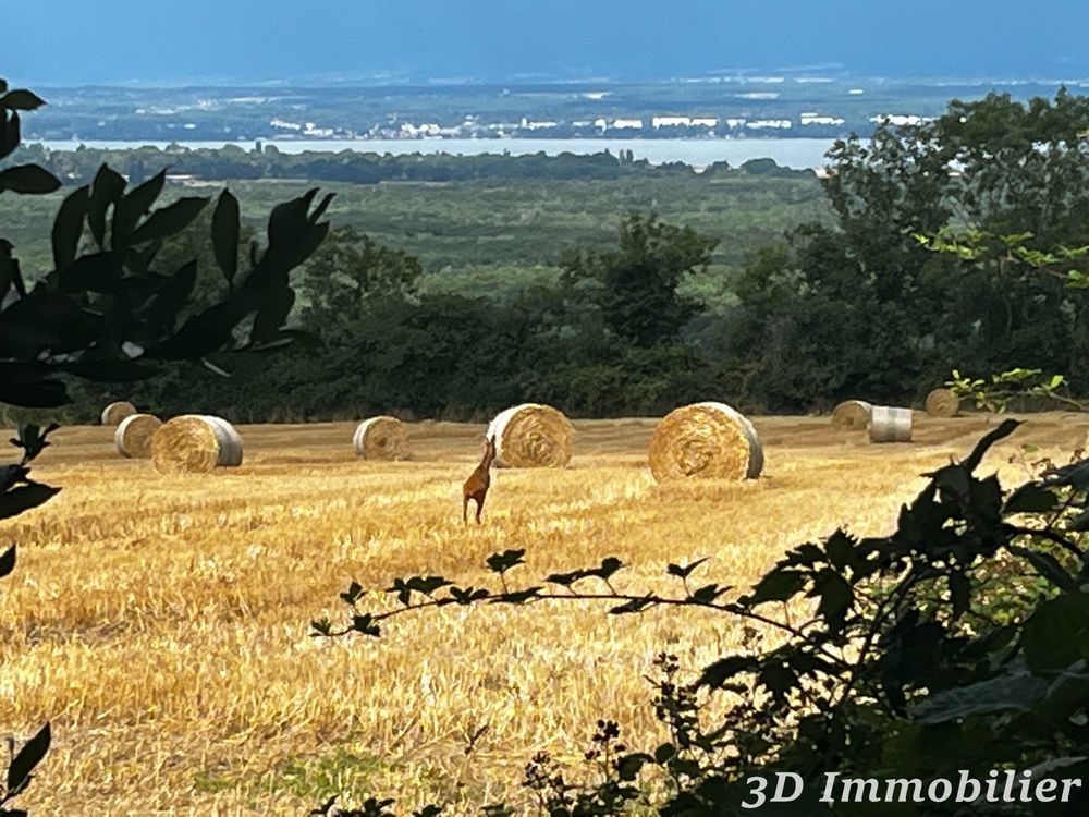 � vendre  Maison Douvaine (74140)