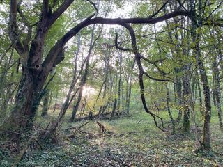  Terrain � vendre 11530 m�