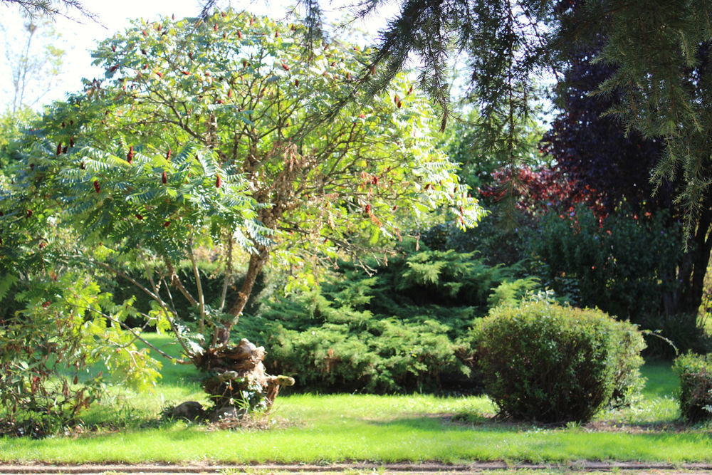 � vendre  Maison Mont�gut-Arros (32730)