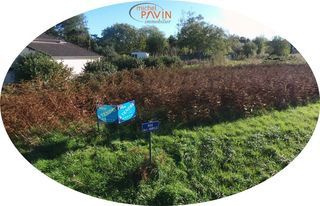  Terrain � vendre 898 m�