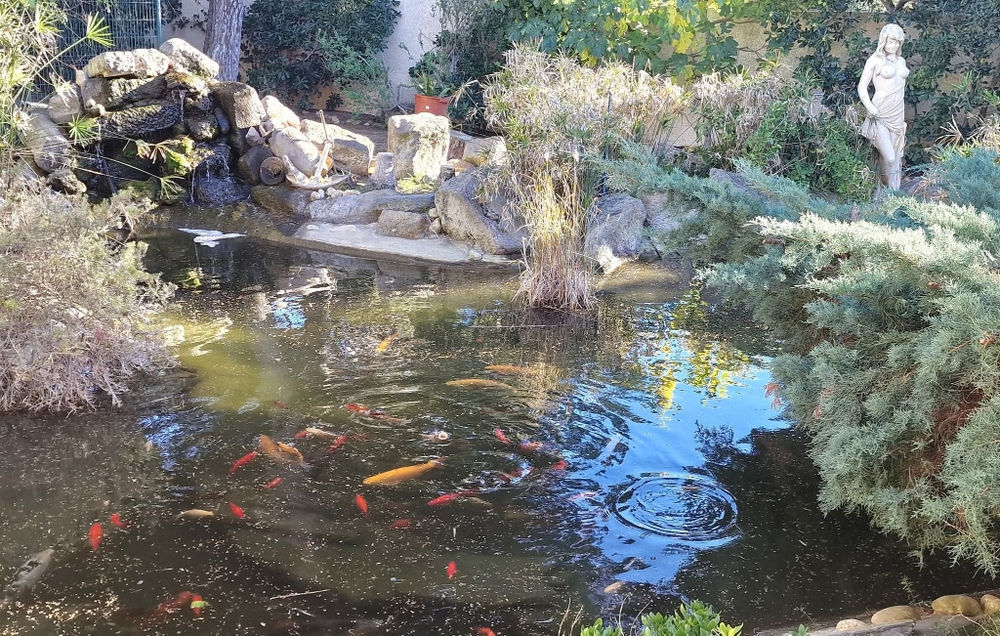 � vendre  Maison Agde (34300)