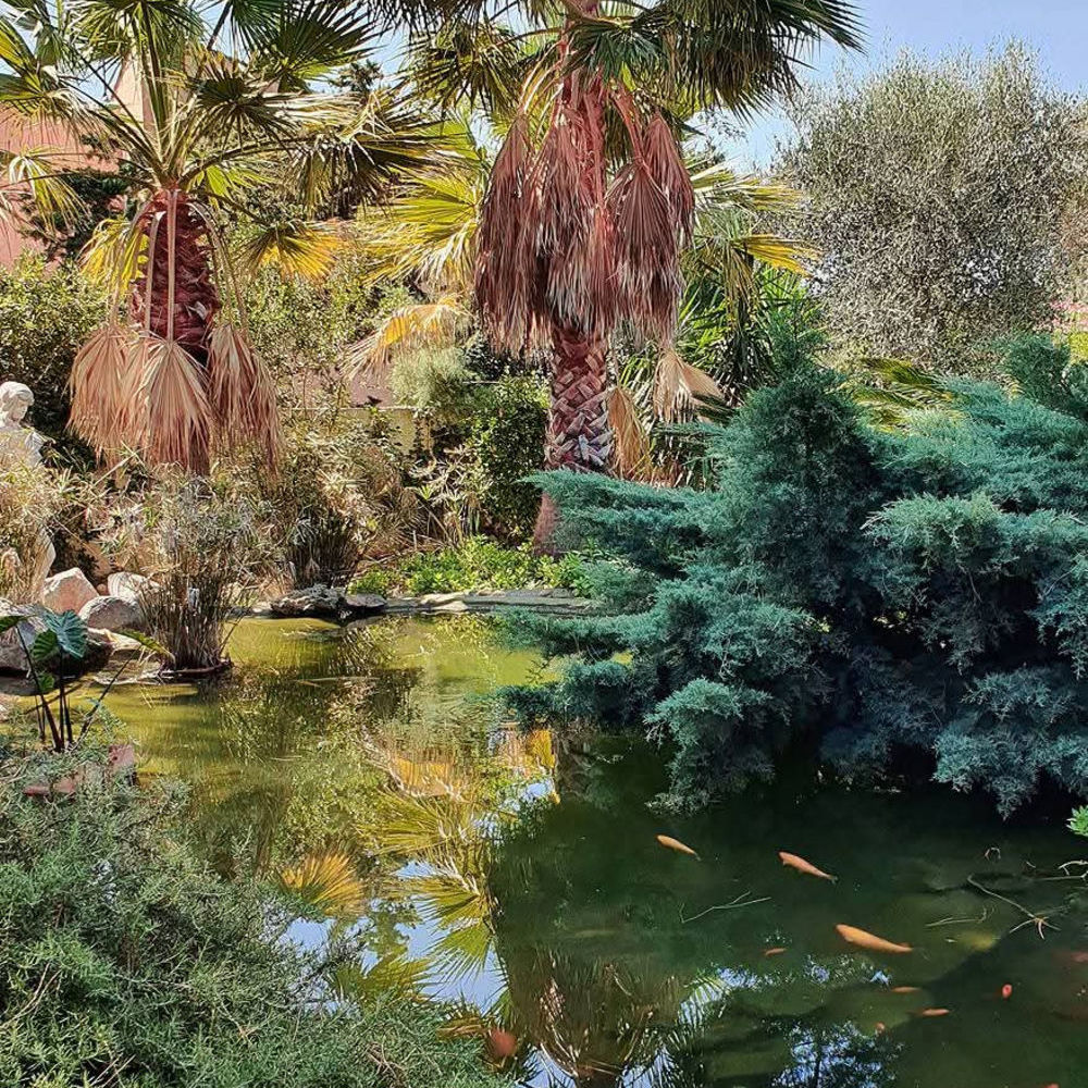 � vendre  Maison Agde (34300)