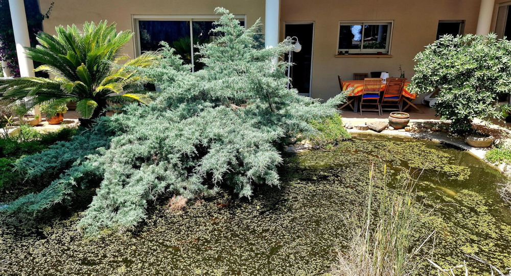 � vendre  Maison Agde (34300)