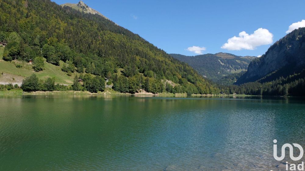 � vendre  Appartement Montriond (74110)