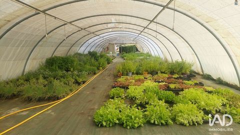 Vente Murs commerciaux 800 m&sup2; 293000 33350 Saint-magne-de-castillon