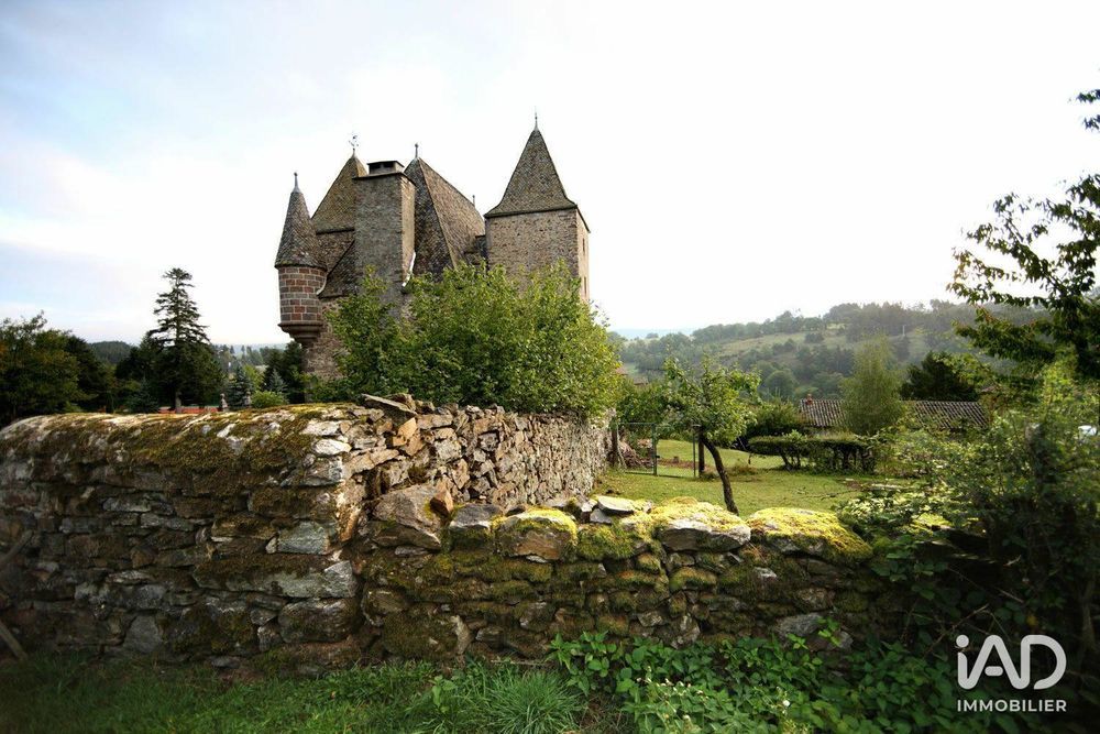 � vendre  Propri�t�/ch�teau Saint-Georges (15100)