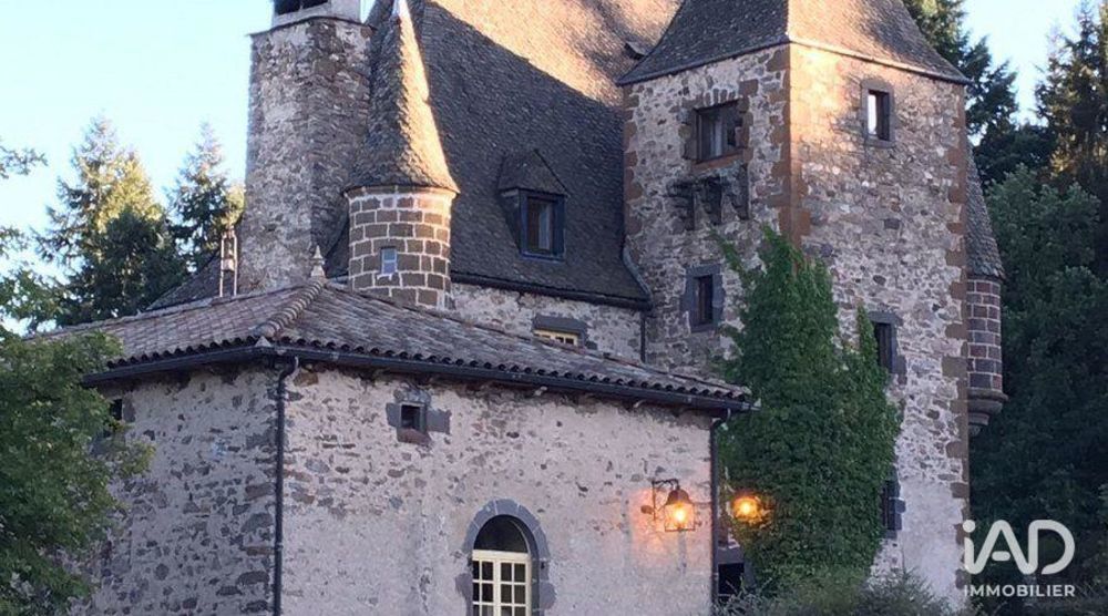 � vendre  Propri�t�/ch�teau Saint-Georges (15100)