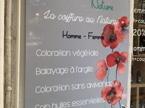 Vente Boutique/Local commercial 56 m&sup2; 75000 30120 Le vigan