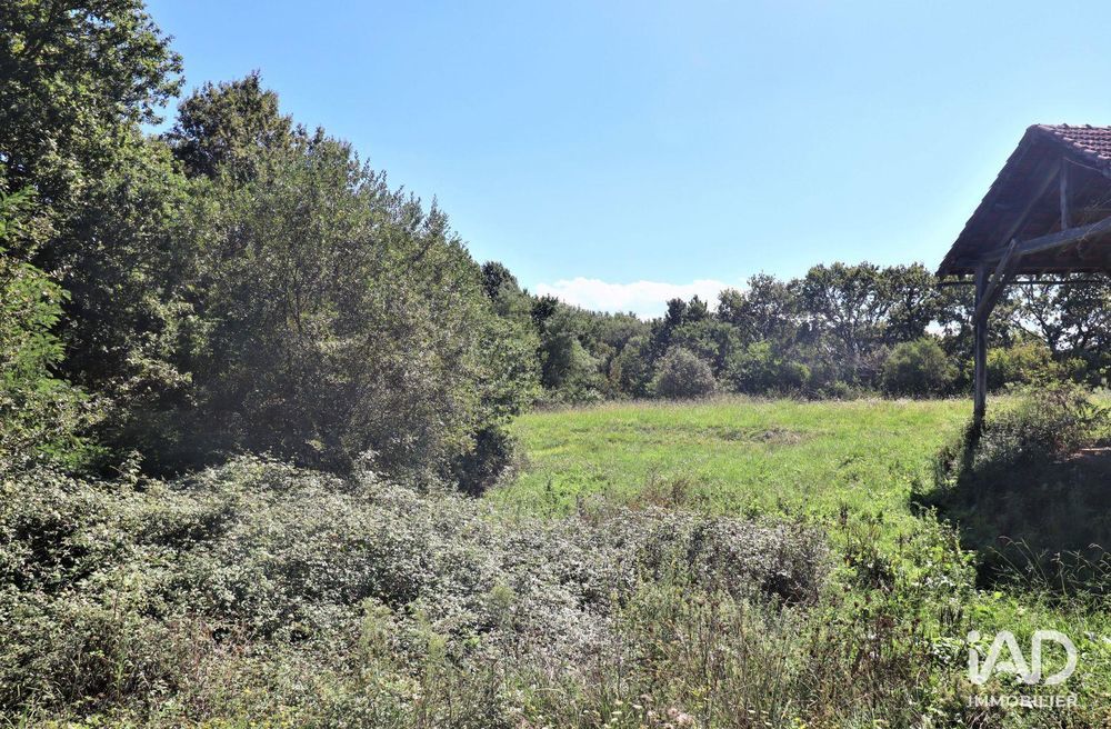 � vendre  Maison Saint-Martin-de-Hinx (40390)