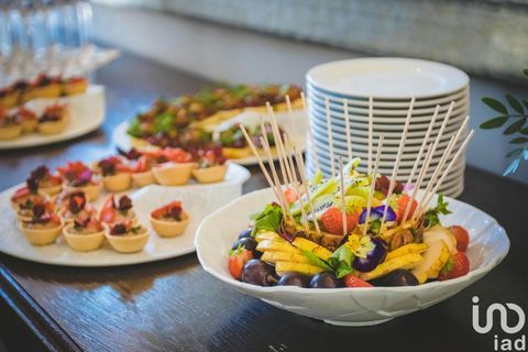 Vente Restaurant 460 m&sup2; 650000 33160 Saint-m�dard-en-jalles