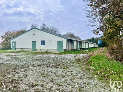 Vente Surface diverse 1 200 m&sup2; 167500 56480 Saint-aignan