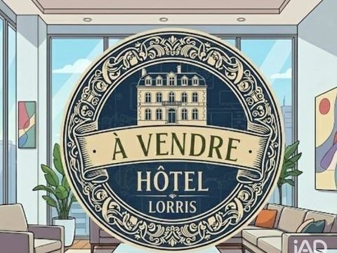 Vente H&ocirc;tel 450 m&sup2; 265000 45260 Lorris