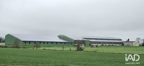 Vente Hangar 4 500 m&sup2; 370000 85170 Beaufou